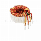 Customized toroidal inductors for instrument device