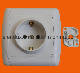  Electric Socket EU-Standad with RoHS Certification