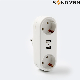 Hot Sale Germany Plug Wall Socket with 2 USB Ports Travel Adapter Plug
