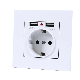 EU Standard 16A AC220-250V Single Germany Socket with USB Port