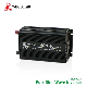 Whc Wholesale DC Power 12V600W Pure Sine Wave High Frequency Inverter