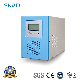  DC to AC Solar Inverter 300W for Solar Energy System