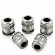  SS304 SS316 M10 to M100 Stainless Steel Cable Glands