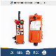 F21-E1 Industrial Wireless Radio Remote Control for Bridge Crane