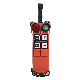 F21-4D Crane Remote Control Unit