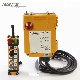 F24-10s Digital Radio Glass-Fiber Industrial Telecrane Remote Controller