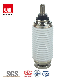 China Supplier Vacuum Interrupter for Circuit Breaker Protectors Switchgear