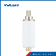 12kv High Voltage Vacuum Interrupter for Embedded Pole Applications