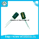 CD72 Non-Polarized / Audio Frequency Type RoHS Aluminum Electrolytic Capacitor