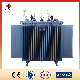 Customized 11kv Three Phase Oil Immersed Power Distribution Transformer