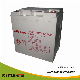  Sh4.5ah-230ah Deep Cycle AGM Battery for Emergency Power System