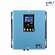 Mini Inverter DC to AC Pure Sine Wave Inverter 500W 1kw 220V Single Phase Power Inverter UPS Function with Charging