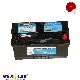 China Factory Tyl Brand 12V 45ah 50ah 100ah Wet Charged Lead Acid Maintenance Free Automobile Car Battery
