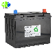 Factory Deep Cycle LiFePO4 12V 100ah Lithium Battery for EV/Solar/UPS manufacturer