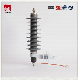 Medium Voltage 17kv 24kv Silicone Outdoor Lightning Arrester