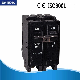  Circuit Breaker Factory 10ka 110V Electrical Circuit Breaker 100A MCB