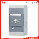  3p Thermomagnetic Double Adjustable High Performance Moulded Case Circuit Breaker