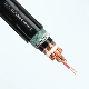 Djypvp32 Polyethylene Insulated Twisted Pair Copper Wire Braided and Shielded PVC Sheathed Steel Wire Armored Computer Cable