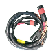 Customized Auto Electric Engine Coaxial Cable Wire Harness Manufacturer