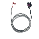 Customized Wire Harness Manufacturer DuPont Molex Cable for Home Appliance Electronics