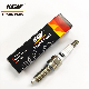  Auto Spare Parts Double Iridium Power Spark Plug D-Ilzkr6b10e Suitable for Multiple Models with White Ceramic