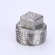 SS304/316 Stainless Steel Threaded Pipe Fitting Square End Plug