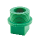 Era Piping Systems (DIN8077/8088) Dvgw PPR Pipe Fitting Thread Plug