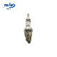 Motorcycle Engine Parts Spark Plug for Fp6tg