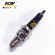 Motorcycle Normal Spark Plug D8tc with Black Ceramic