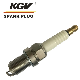  Generator Spark Plug Lx02 High Performance Spark Plugs Lx02 Champion RC78pyp