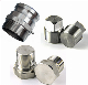 High Quality OEM 304/316/321 Stainless Steel Plug