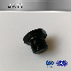 (JY189) Carbon Steel Black Oxidation Hexagon Plug, Hex Head Plug Blot