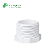 Plastic PVC UPVC Sch40 Sch80 Pipe Fittings End Thread Male Female Plug