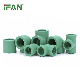 Ifan Factory Price Green Colour High Pressure Pn25 Polypropylene Socket Fittingsfor PPR Water Pipe