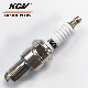 Motorcycle Iridium Spark Plug Eix-Bp6 for BMW 980cc GS 100