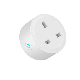  UK Alexa Pug WiFi Tuya Smart Plug Time Control Remote Control Voice Control