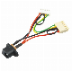  Custom Molex Jst Zh pH Eh Xh 1.0 1.25 1.5 2.0 2.54mm Plug