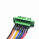  Customized 8pin Plug-in PCB Terminal Block Connection Wiring Harness