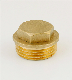  Brass Connector Screw Fastener Hardware Fitting Plug