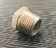 Stainless Steel Male Thread Screwd Fitting Round Pipe Plug