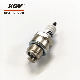  Small Engine Normal Spark Plug a-Bm7 Use on Lawn Mower