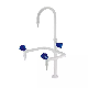 Chemical Resistant CE Certified Factory Supply Deck Mounted Single Outlet Mixer Lab Faucet