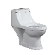 Cheap Price One Piece Ceramic Toilet with Big Outlet Hole