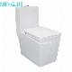 Sanitary Ware Water Closet Bathroom Ceramic Square One Piece Washdown Toilet