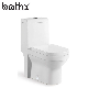 China Manufacturer Bathroom Sanitary Ware White Glazed One Piece Toilet