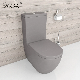 Made in China 2 Piece Toilet Matte Grey Ceramic Wc Toilet Luxury Sanitary Ware Rimless P Trap Toilet Watermark Toilet Bowl Ceramica Water Closet Bathroom Toilet