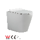  Watermark Wall Hung and Floor Standing Ceramic Rimless One Piece Toilet