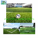Football Soccer Factory Artificial Sports Synthetic Fake Landscaping Lawn manufacturer