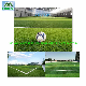  Football Soccer Factory Artificial Sports Synthetic Fake Landscaping Lawn