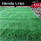 Synthetic Grass Artificial Lawn 10mm for Sports/Football/Garden/Landscape/Indoor and Outdoor Floor manufacturer